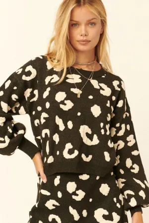 Black Leopard Round Neck Long Bell Sleeves Casual Pullover Sweater_