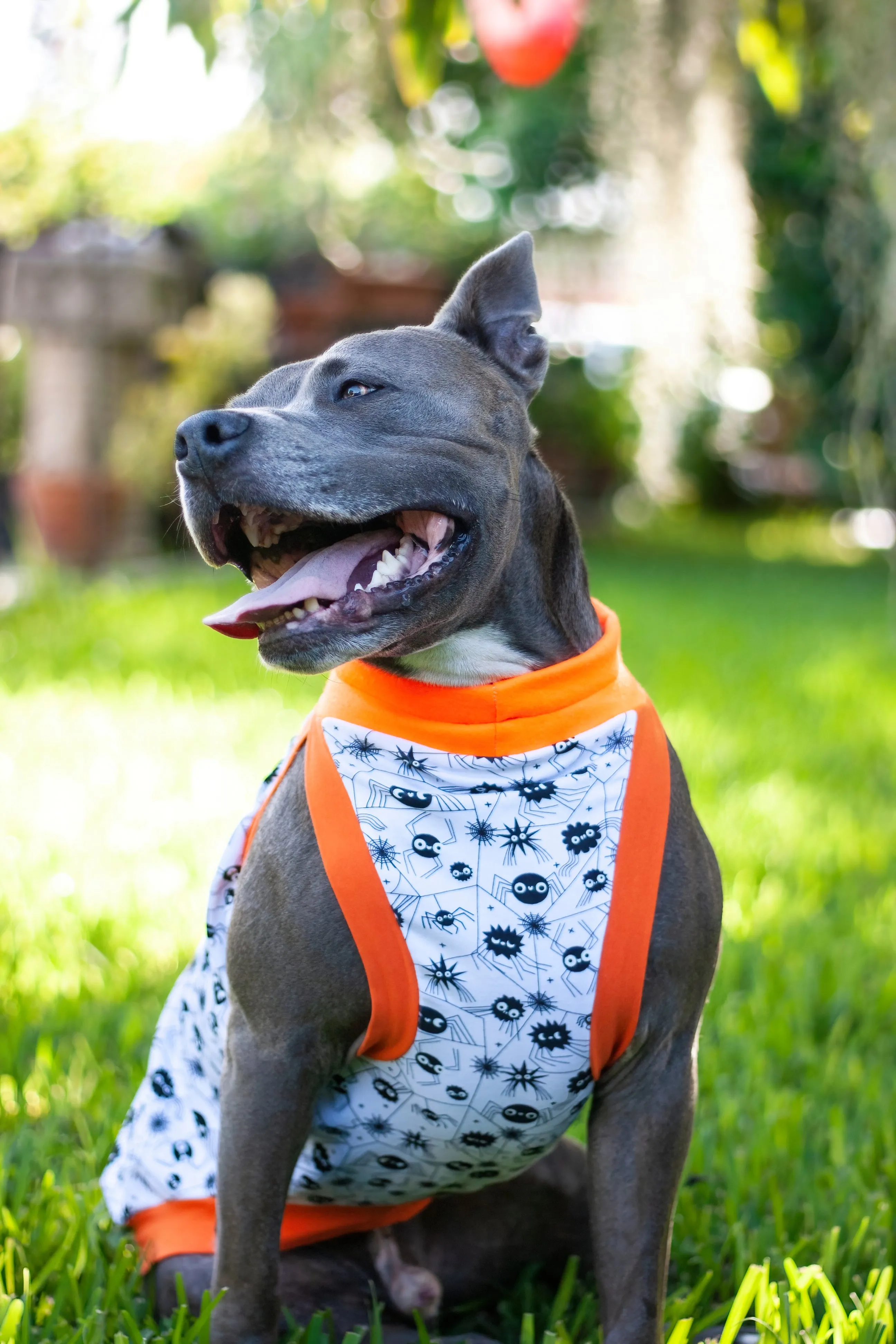 Glow in the Dark Halloween Spider Dog Muscle Tank