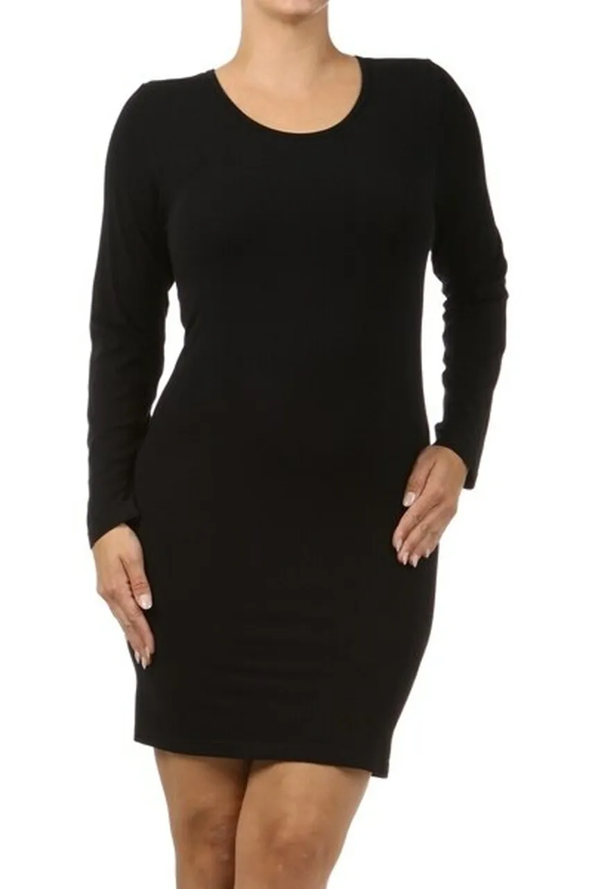 Long Sleeve Fitted Tunic/Dress