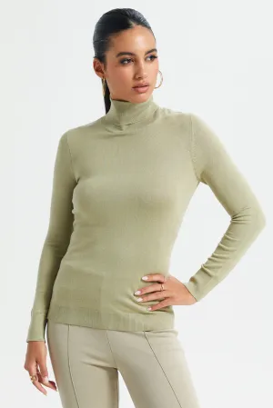 Women Mint Solid Turtle Neck Pullover